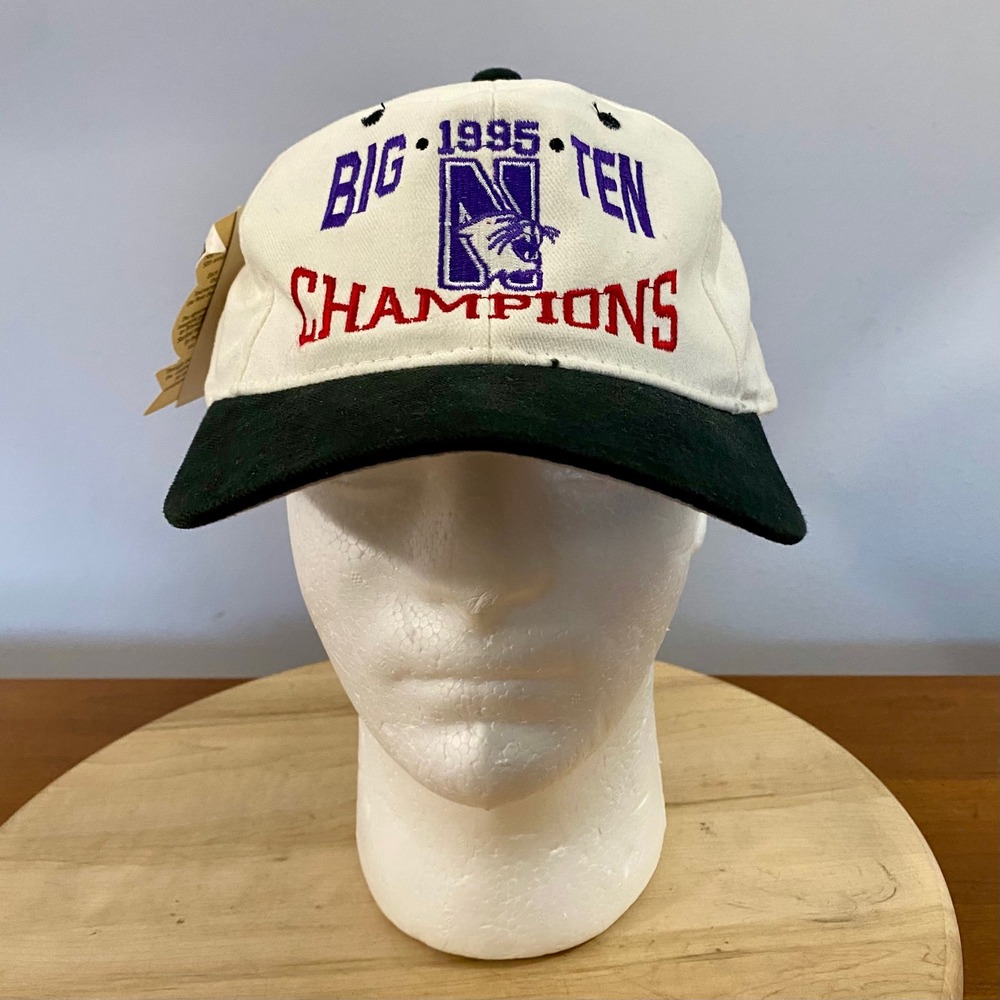 Vintage 1995 Northwestern Wildcats Snapback Hat Big Ten Champs Rose Bowl NWT